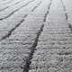 Tapis moderne et tendance gris