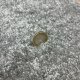 Tapis rond personnalisé gris clair 100% Polyester