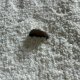 Tapis sur mesure ivoire épais et moelleux