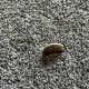 Tapis sur mesure gris foncé épais et moelleux