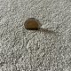 Tapis sur mesure beige clair doux et résistant finition gansée