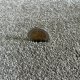 Tapis sur mesure beige foncé doux et résistant finition gansée