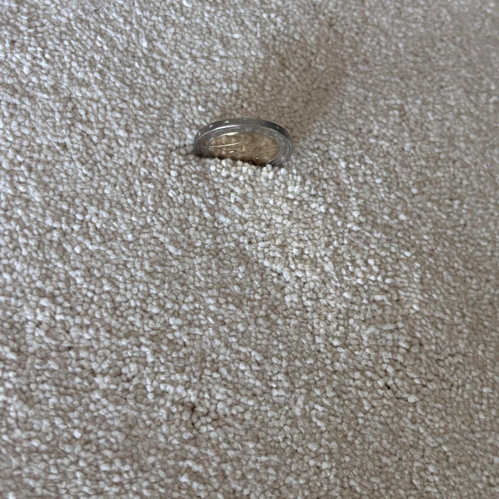 Tapis sur mesure ivoire doux et résistant finition gansée