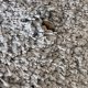 Tapis shaggy sur mesure gris clair épais et très doux finition galon