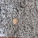 Tapis shaggy sur mesure gris clair épais et très doux finition galon